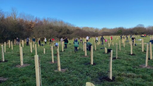 Energy fund provides £40k to help charities cut carbon emissions across B&NES