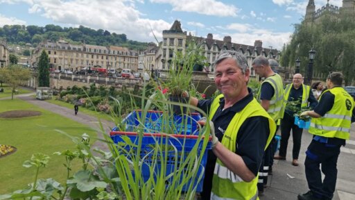 Businesses bolster Bath’s Britain in Bloom bid
