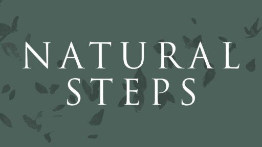 Natural Steps Coaching